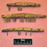 three-conserved-and-re-assembled-bone-hair-combs