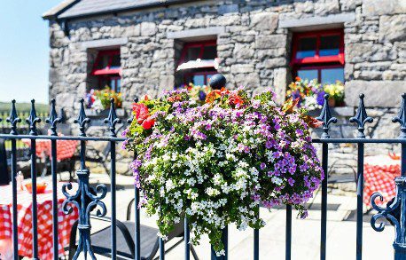 Stone wall cafe with outdoor tables behind iron fence with flowers at Caherconnell Stone Fort