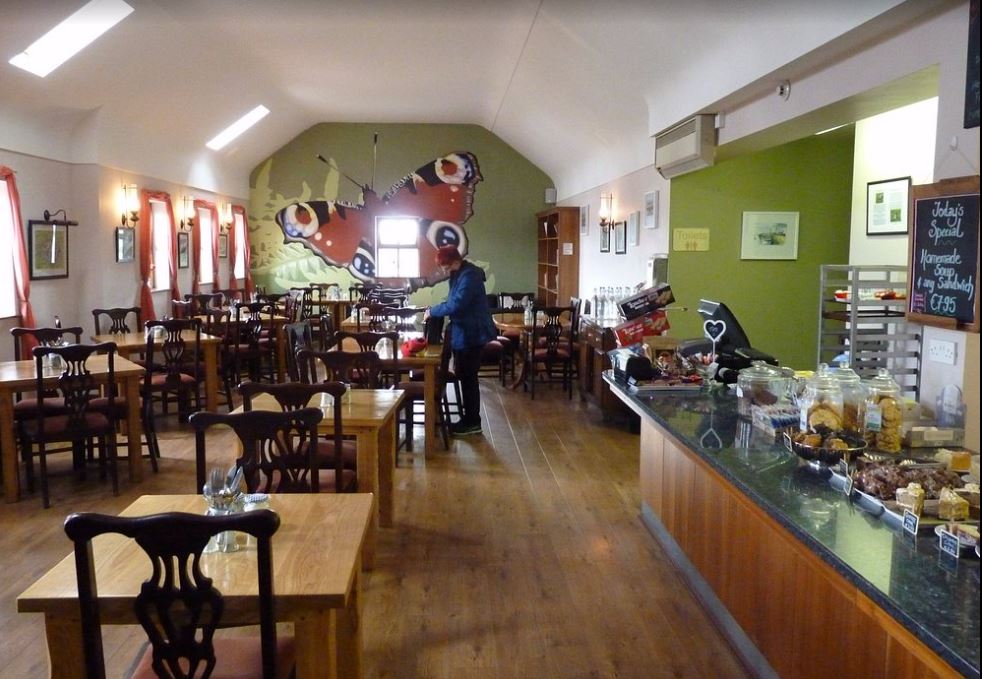 Visitor centre with café, shop, toilets, and outdoor terrace