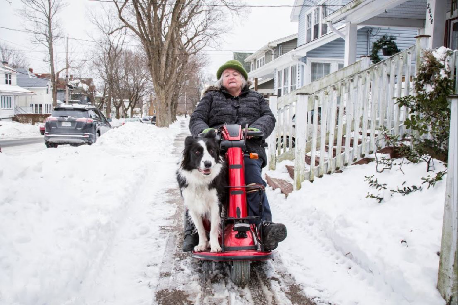 Border Collie Therapy Dog